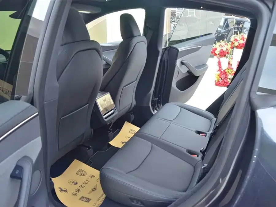 Tesla Model Y Model Y 2026 Rear-Wheel Drive 2026 — миниатюра 2