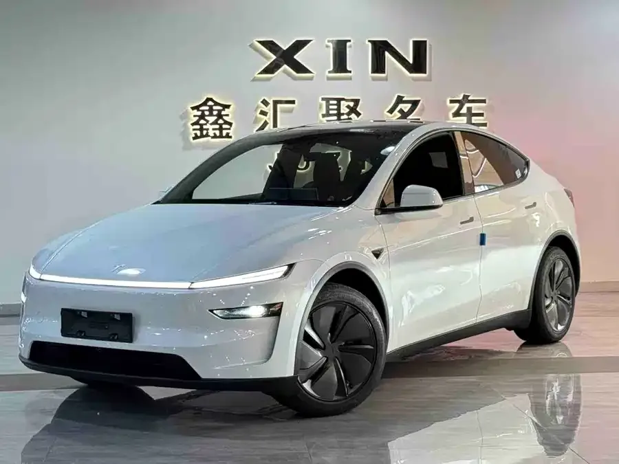 Tesla Model Y Model Y 2026 Rear-Wheel Drive 2026 — миниатюра 5