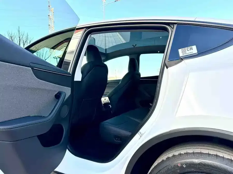 Tesla Model Y Model Y 2026 Rear-Wheel Drive 2026 — миниатюра 2