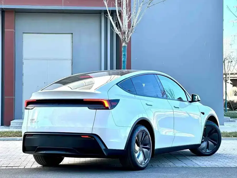 Tesla Model Y Model Y 2026 Rear-Wheel Drive 2026 — миниатюра 5