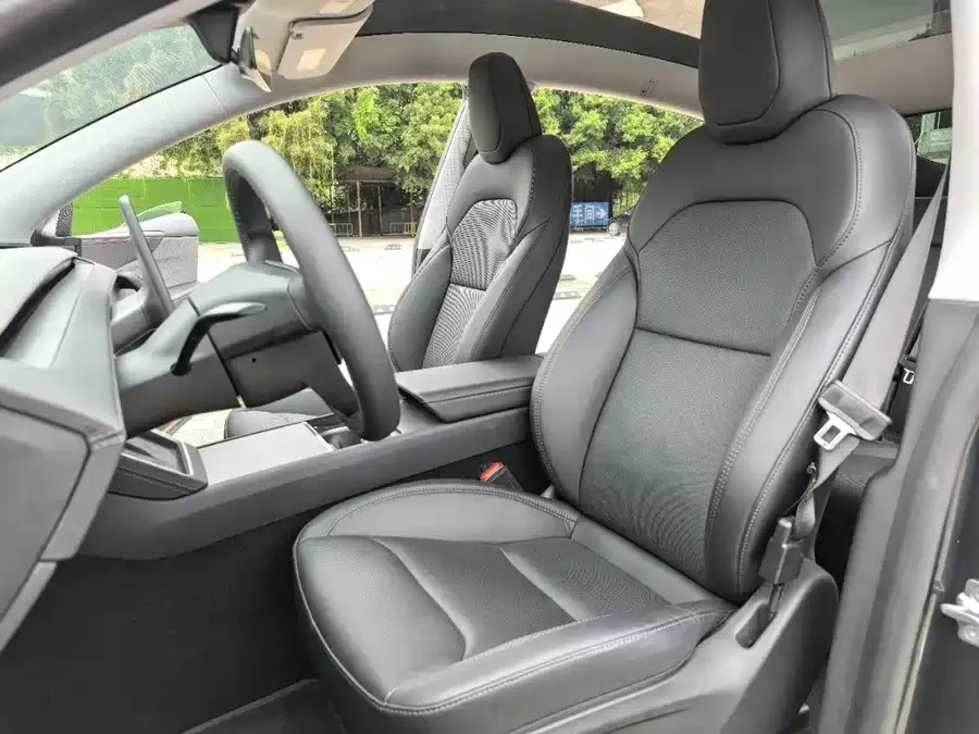 Tesla Model Y Model Y 2025 rear-wheel drive version 2025 — миниатюра 2