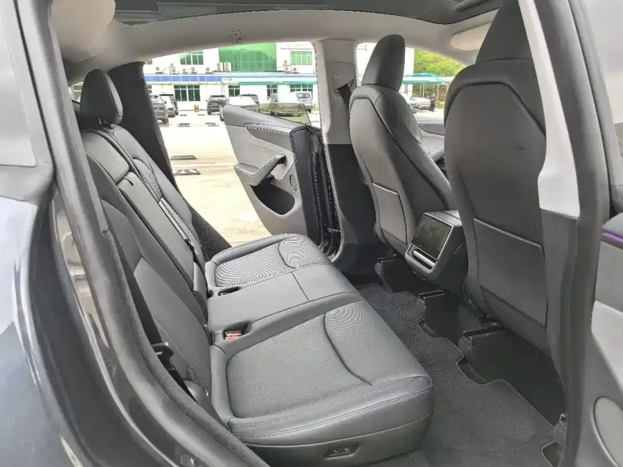 Tesla Model Y Model Y 2025 rear-wheel drive version 2025 — миниатюра 5