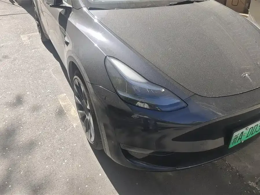 Tesla Model Y Model Y 2024 long-range all-wheel drive version 2024 — миниатюра 2