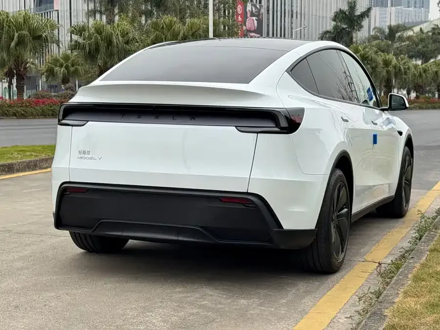 Tesla Model Y Model Y 2026 Rear-Wheel Drive 2026 — миниатюра 3