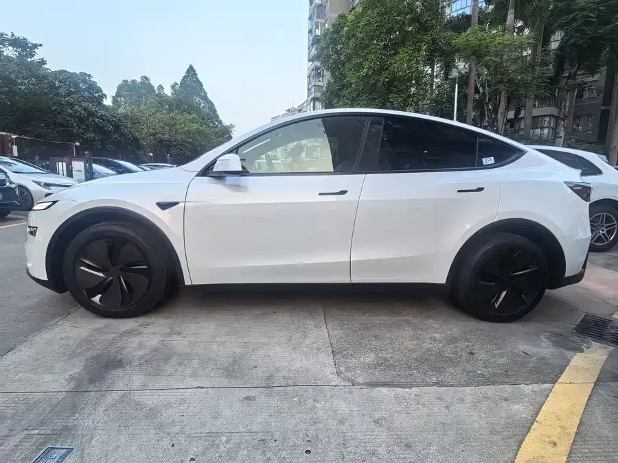 Tesla Model Y Model Y 2026 Rear-Wheel Drive 2026 — миниатюра 4