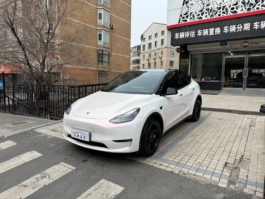 Tesla Model Y Model Y 2024 long-range all-wheel drive version 2024 — фото 1, купить с доставкой в Москву