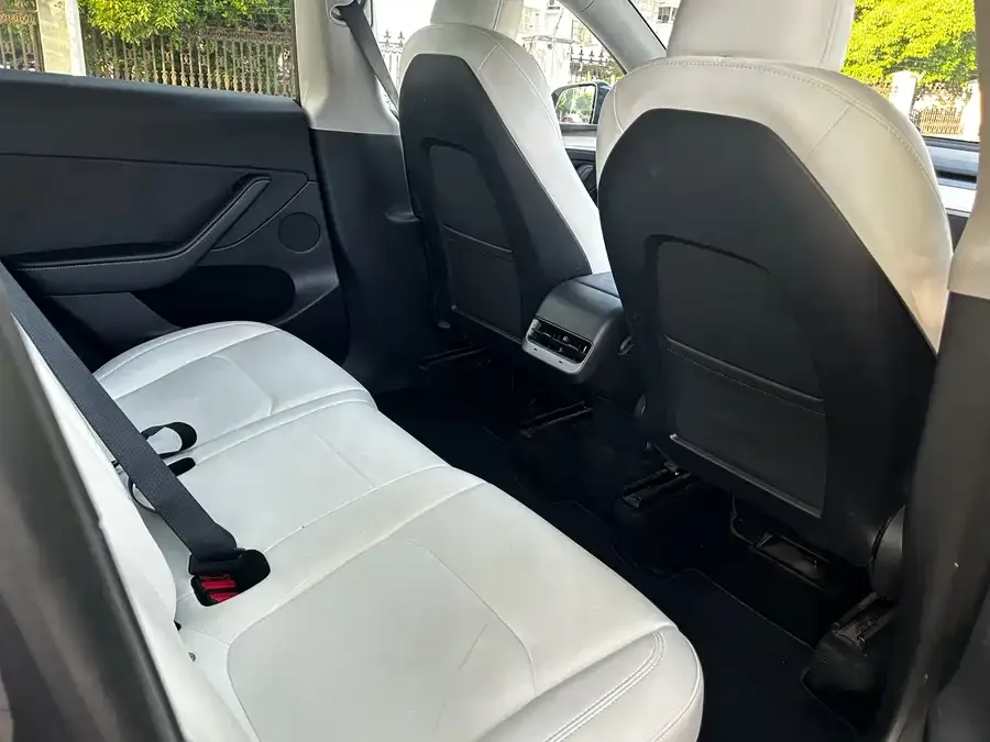 Tesla Model Y Model Y 2023 rear-wheel drive version 2023 — миниатюра 3