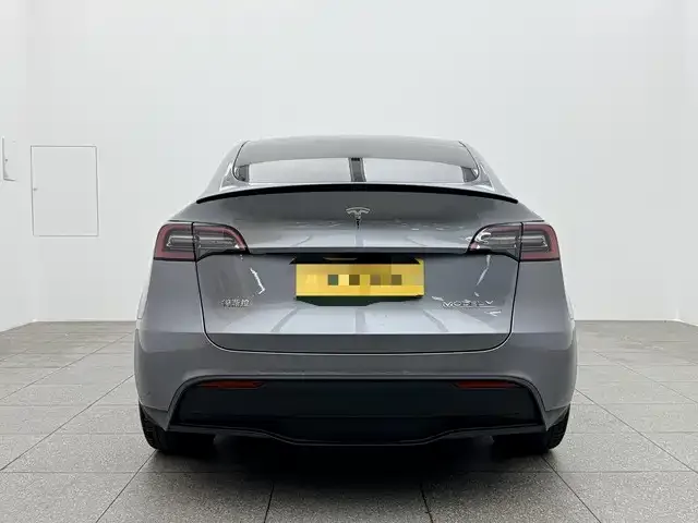 Tesla Model Y Model Y 2024 Performance version 2024 — миниатюра 2