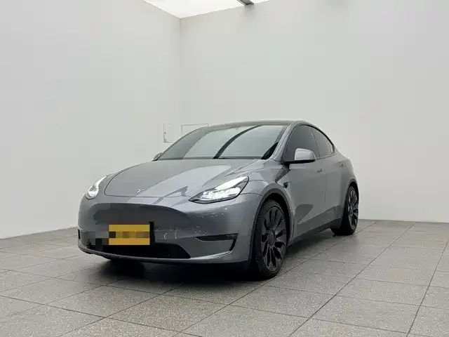 Tesla Model Y Model Y 2024 Performance version 2024 — фото 1, купить с доставкой в Москву