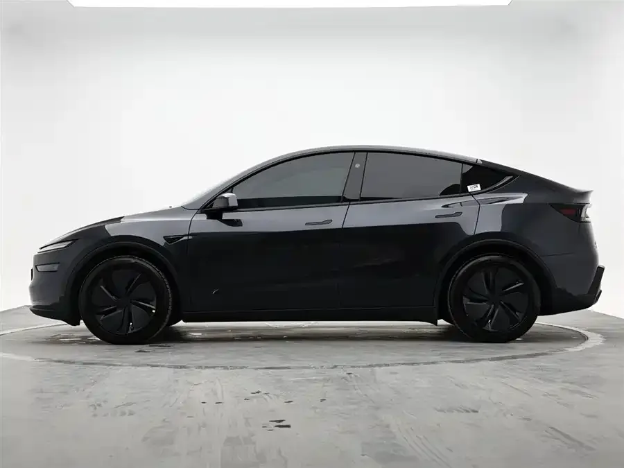 Tesla Model Y Model Y 2025 facelift long-range all-wheel drive version 2025 — миниатюра 2