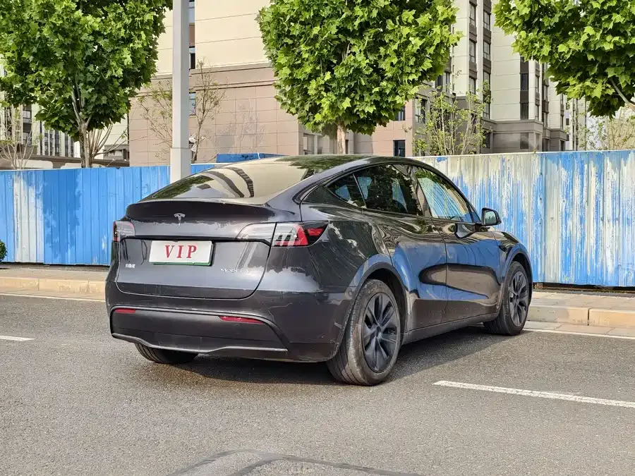 Tesla Model Y Model Y 2024 rear-wheel drive version 2025 — миниатюра 3