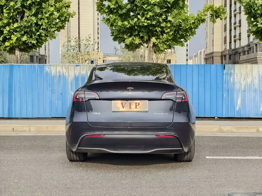 Tesla Model Y Model Y 2024 rear-wheel drive version 2025 — миниатюра 5