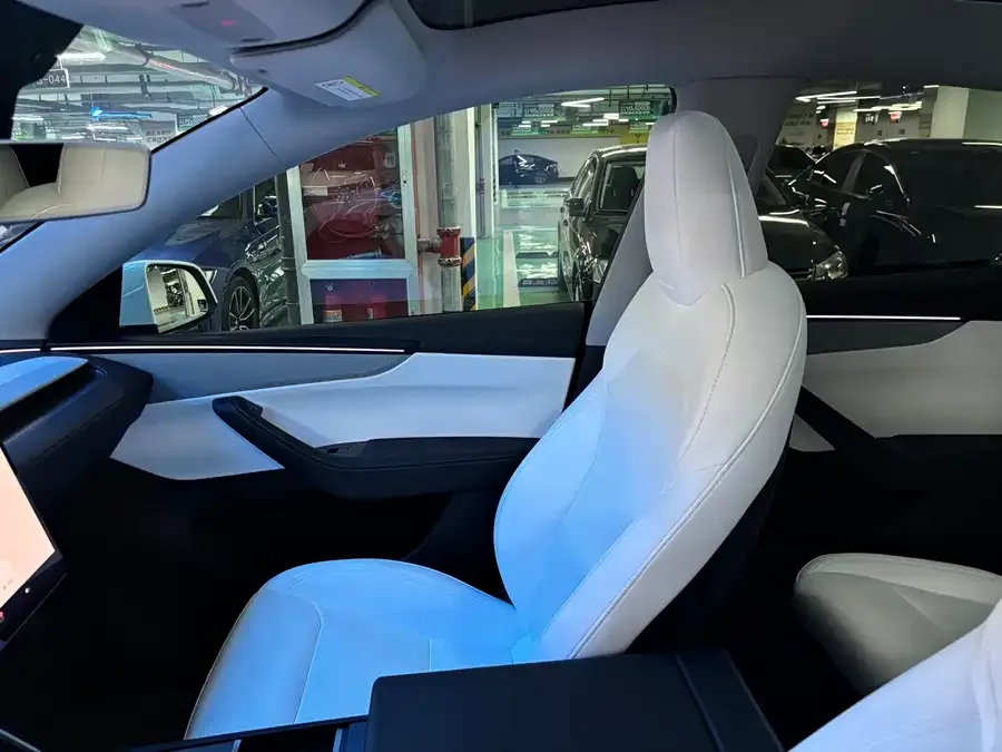 Tesla Model Y Model Y 2025 rear-wheel drive version 2025 — миниатюра 2