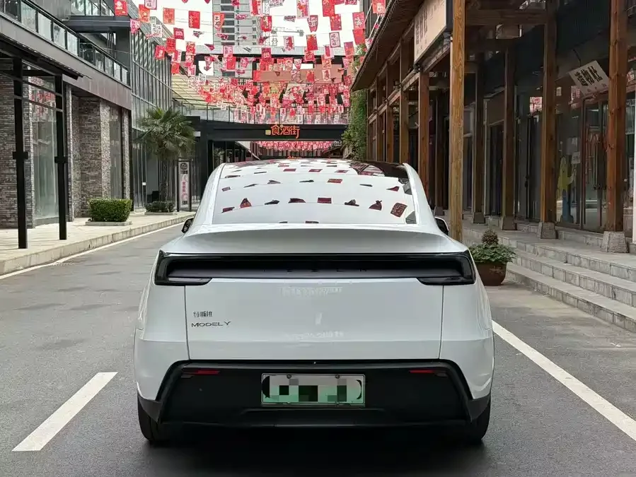 Tesla Model Y Model Y 2025 rear-wheel drive first edition 2025 — миниатюра 5