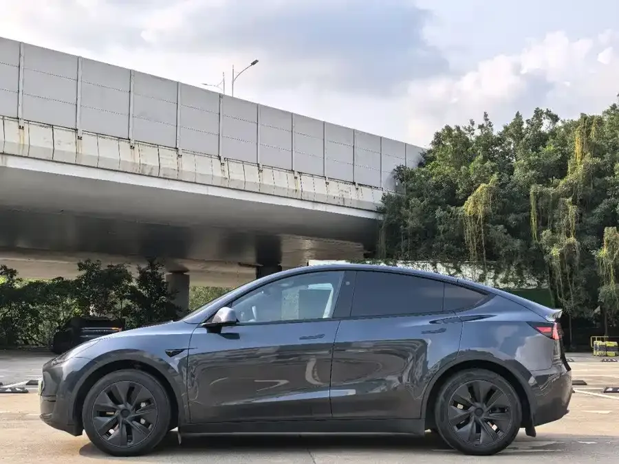Tesla Model Y Model Y 2024 rear-wheel drive version 2024 — миниатюра 4