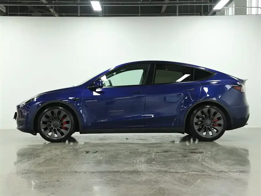 Tesla Model Y Model Y 2024 Performance version 2024 — миниатюра 2