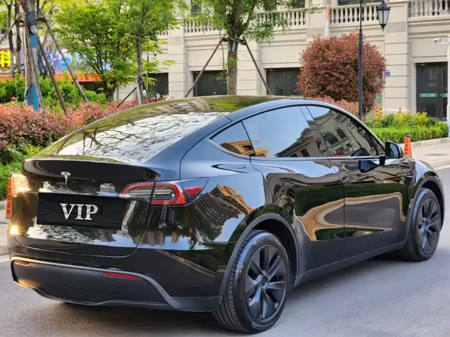 Tesla Model Y Model Y 2023 long-range all-wheel drive version 2024 — миниатюра 3