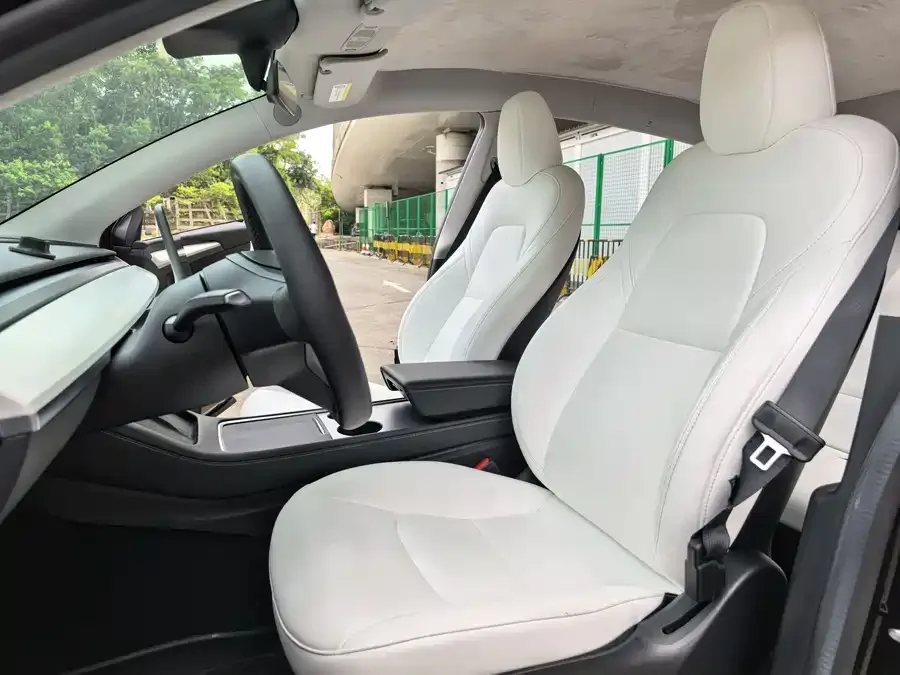 Tesla Model Y Model Y 2022 facelift rear-wheel drive version 2022 — миниатюра 2