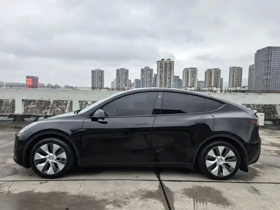 Tesla Model Y Model Y 2022 rear-wheel drive version 2022 — миниатюра 2