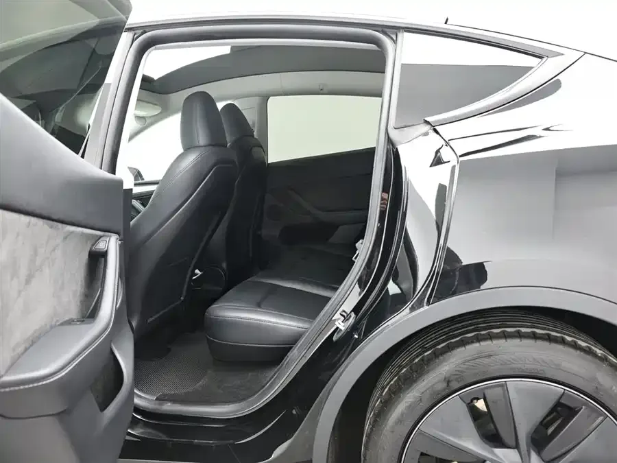 Tesla Model Y Model Y 2023 rear-wheel drive version 2023 — миниатюра 4