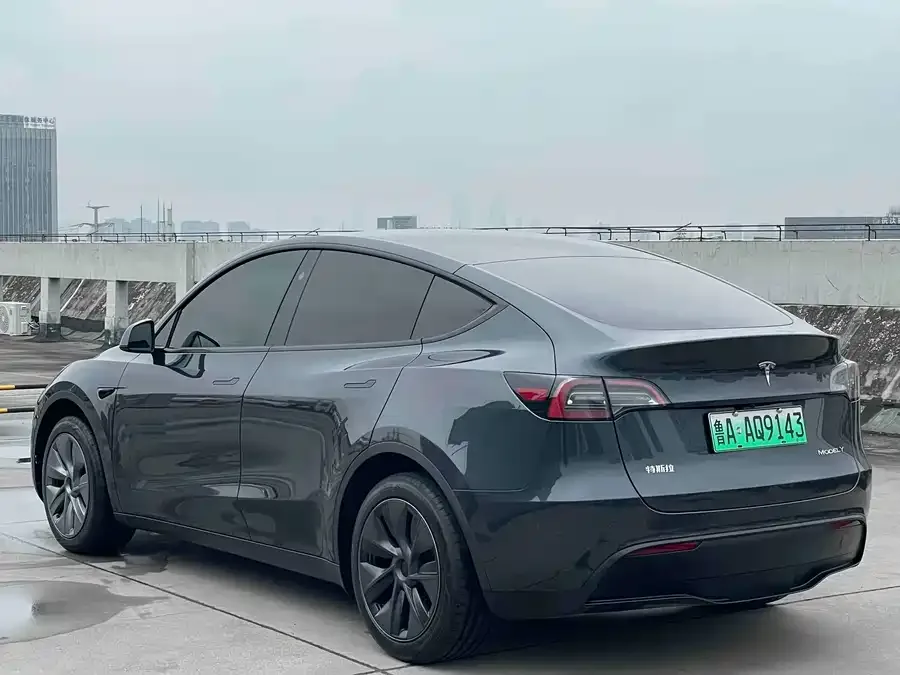 Tesla Model Y Model Y 2024 rear-wheel drive version 2025 — миниатюра 5