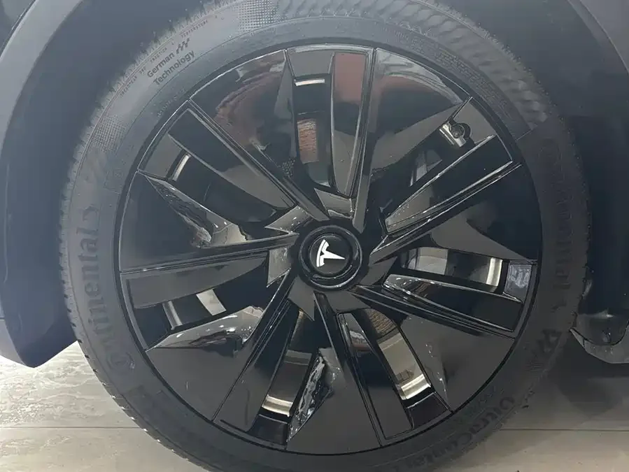 Tesla Model Y Model Y 2021 Standard Range Rear-wheel Drive Version 2022 — миниатюра 3