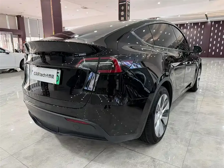 Tesla Model Y Model Y 2021 Standard Range Rear-wheel Drive Version 2022 — миниатюра 4
