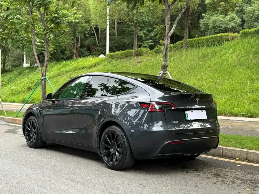 Tesla Model Y Model Y 2024 rear-wheel drive version 2024 — миниатюра 5