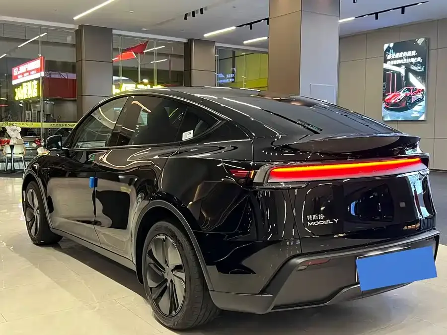 Tesla Model Y Model Y 2025 rear-wheel drive version 2025 — миниатюра 4