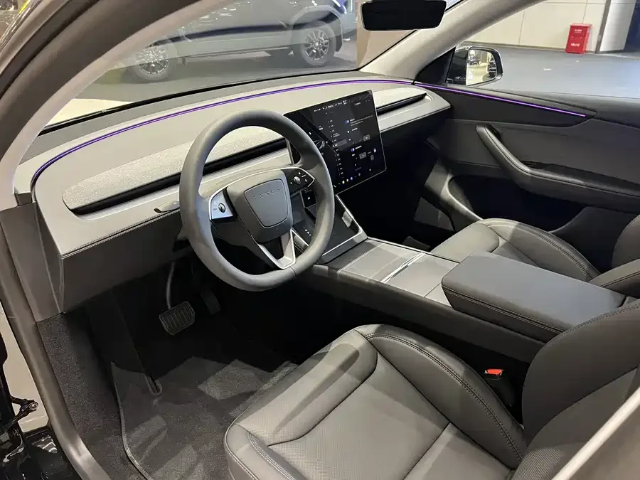 Tesla Model Y Model Y 2025 rear-wheel drive version 2025 — миниатюра 5