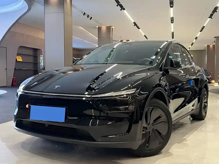 Tesla Model Y Model Y 2025 rear-wheel drive version 2025 — фото 1, купить с доставкой в Москву