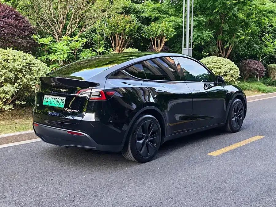 Tesla Model Y Model Y 2024 rear-wheel drive version 2024 — миниатюра 2
