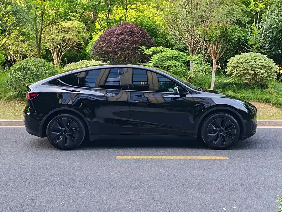 Tesla Model Y Model Y 2024 rear-wheel drive version 2024 — миниатюра 4