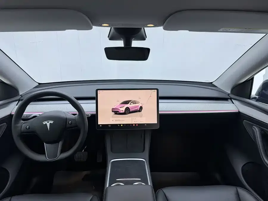 Tesla Model Y Model Y 2023 rear-wheel drive version 2023 — миниатюра 3