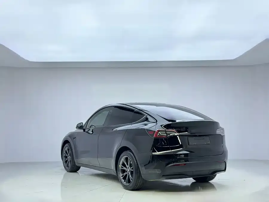 Tesla Model Y Model Y 2023 rear-wheel drive version 2023 — миниатюра 5