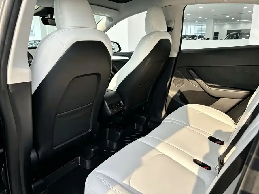 Tesla Model Y Model Y 2022 rear-wheel drive version 2023 — миниатюра 2