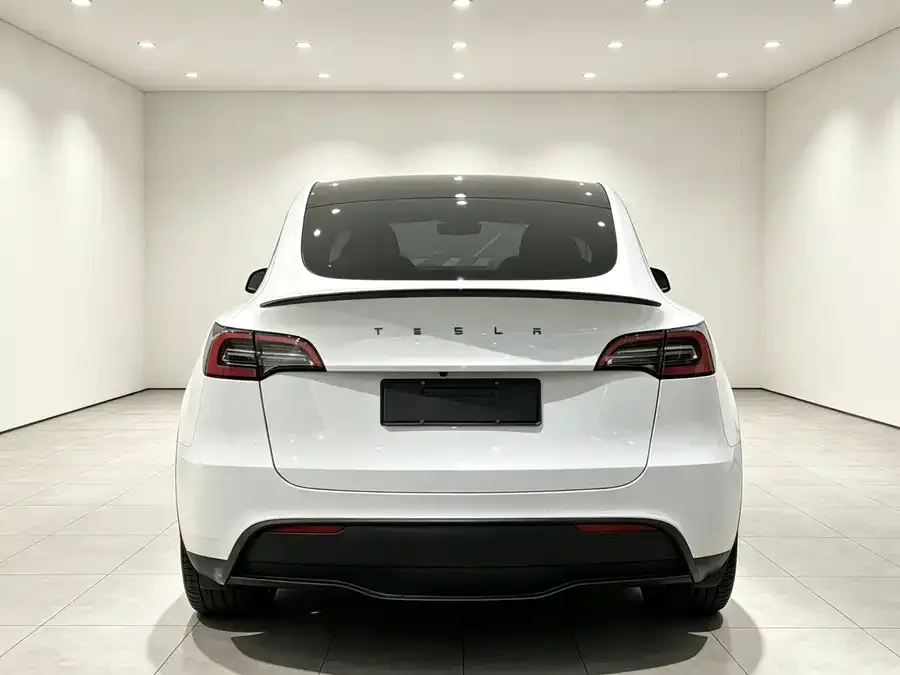 Tesla Model Y Model Y 2022 rear-wheel drive version 2023 — миниатюра 4