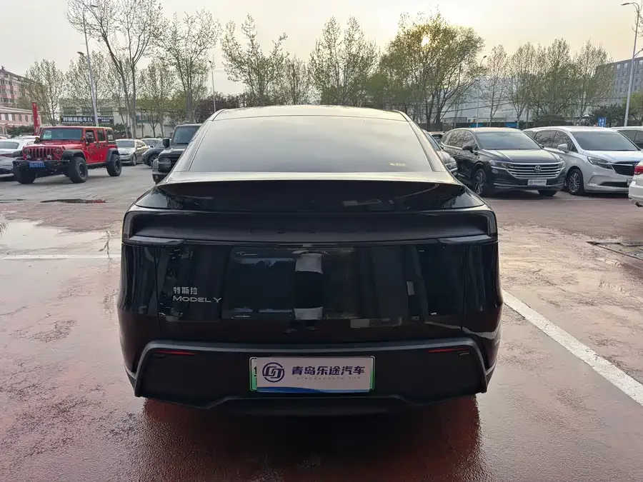 Tesla Model Y Model Y 2026 Rear-Wheel Drive 2026 — миниатюра 5