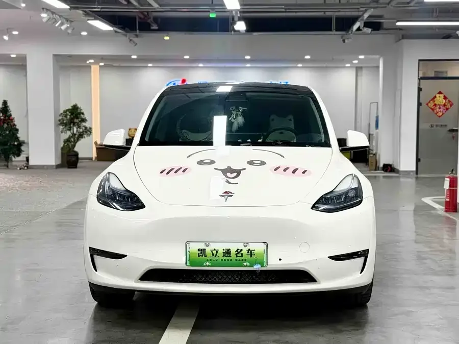 Tesla Model Y Model Y 2022 facelift long-range all-wheel drive version 2022 — миниатюра 4