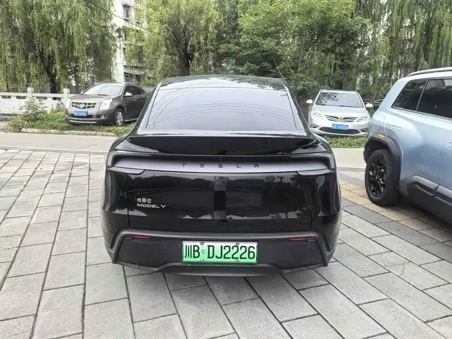 Tesla Model Y Model Y 2025 rear-wheel drive version 2025 — миниатюра 2