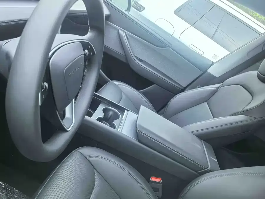 Tesla Model Y Model Y 2025 rear-wheel drive version 2025 — миниатюра 3