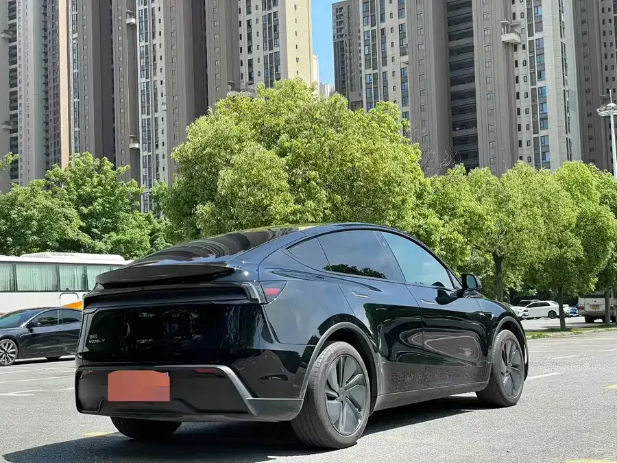 Tesla Model Y Model Y 2025 rear-wheel drive version 2025 — миниатюра 3