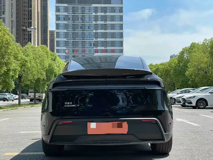 Tesla Model Y Model Y 2025 rear-wheel drive version 2025 — миниатюра 5