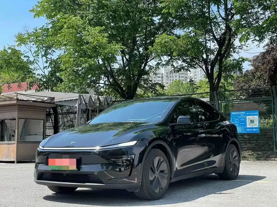 Tesla Model Y Model Y 2025 rear-wheel drive version 2025 — фото 1, купить с доставкой в Москву