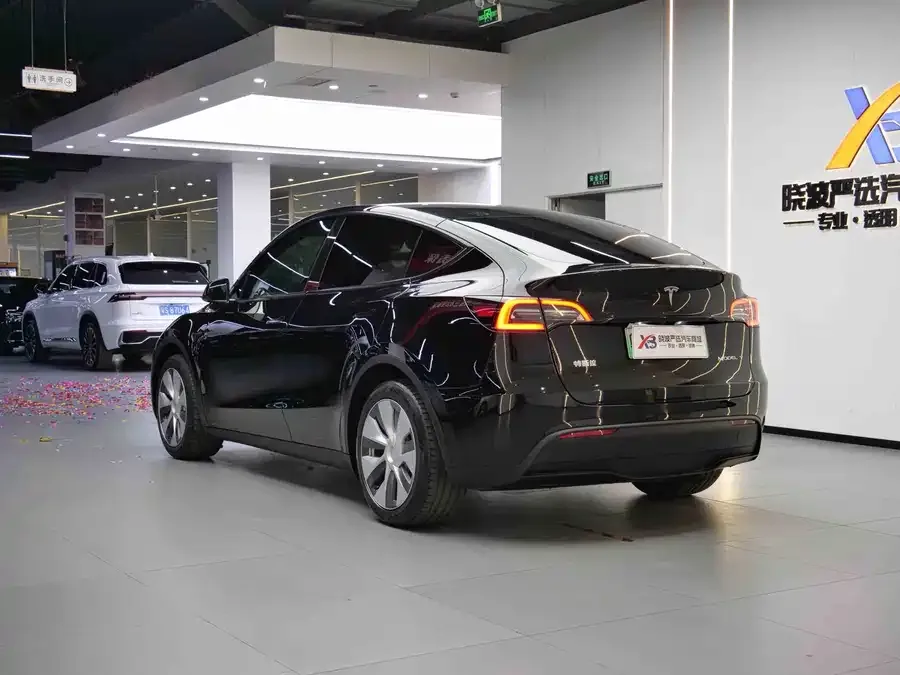 Tesla Model Y Model Y 2022 facelift rear-wheel drive version 2022 — миниатюра 2