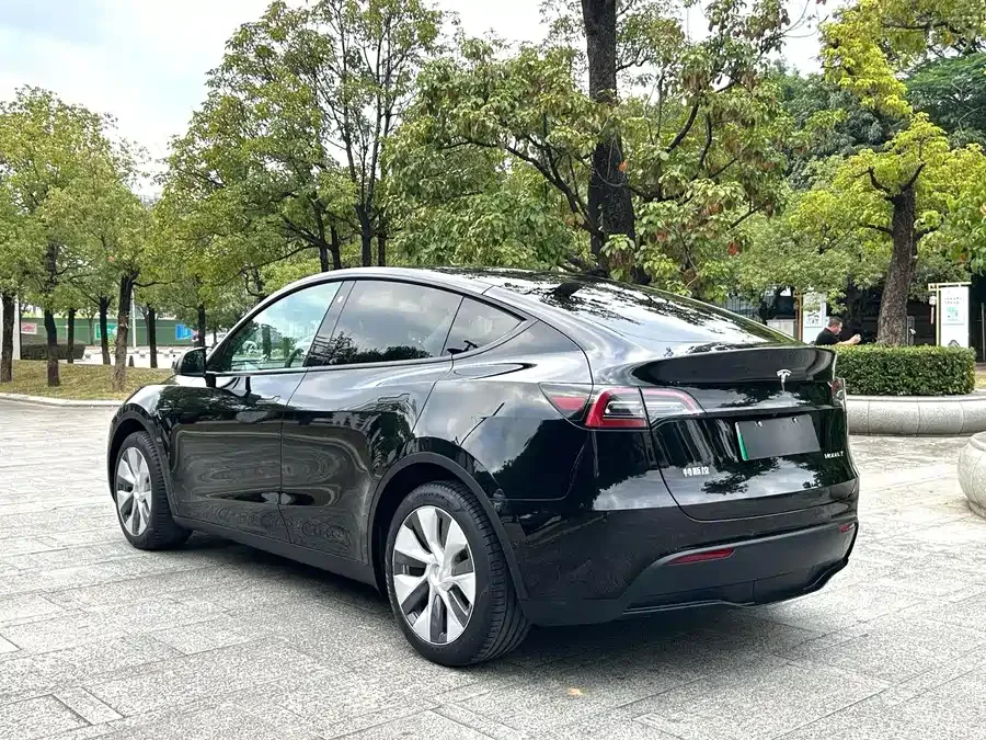 Tesla Model Y Model Y 2023 rear-wheel drive version 2023 — миниатюра 4