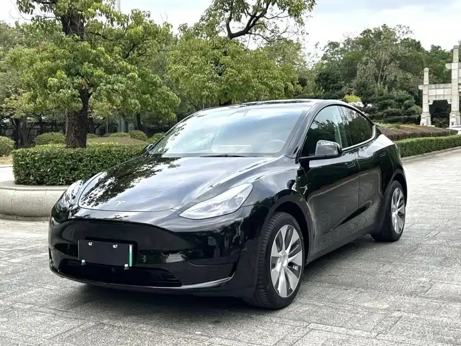 Tesla Model Y Model Y 2023 rear-wheel drive version 2023 — фото 1, купить с доставкой в Москву