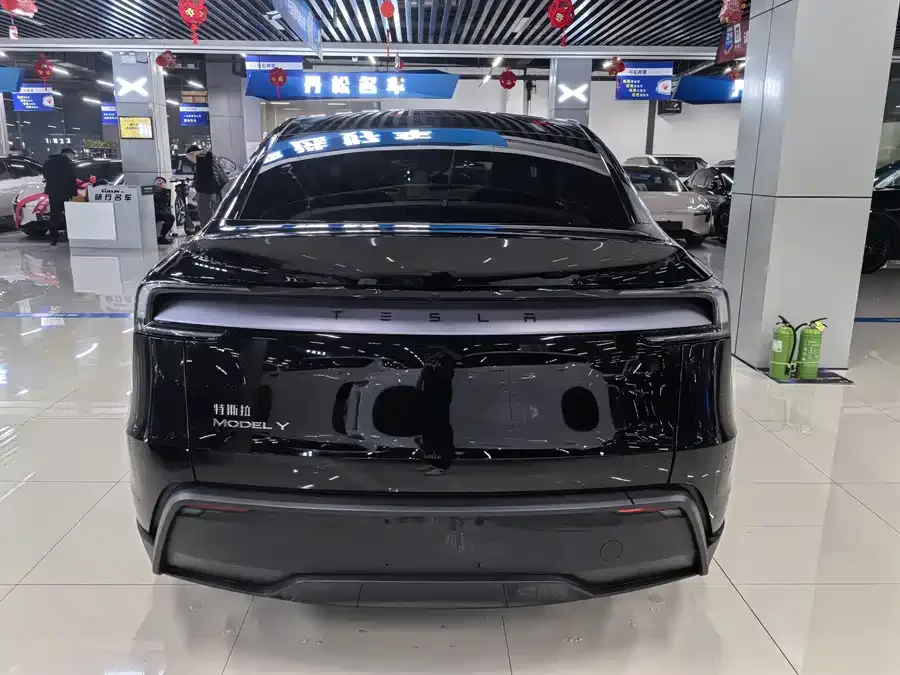 Tesla Model Y Model Y 2026 Rear-Wheel Drive 2026 — миниатюра 2