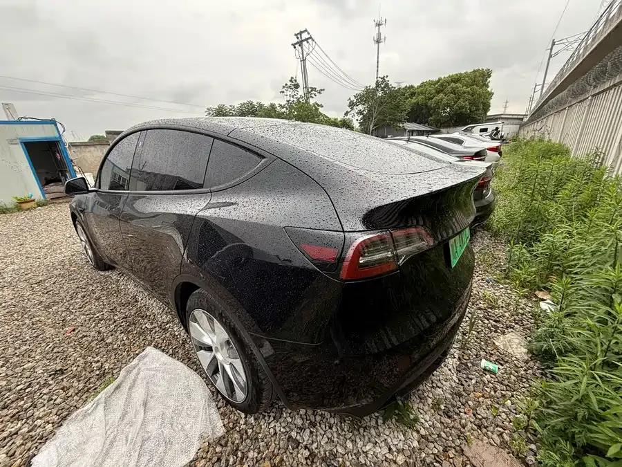 Tesla Model Y Model Y 2024 long-range all-wheel drive version 2024 — миниатюра 3