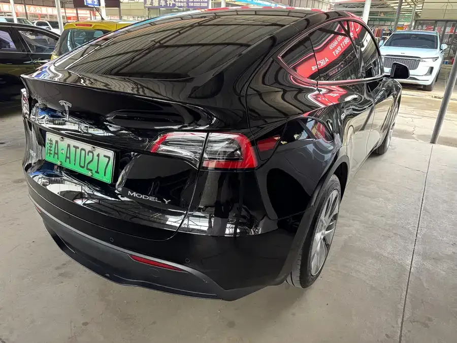 Tesla Model Y Model Y 2023 rear-wheel drive version 2023 — миниатюра 4